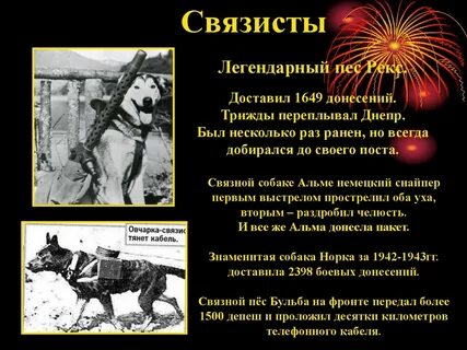 Анализ произведения связистка