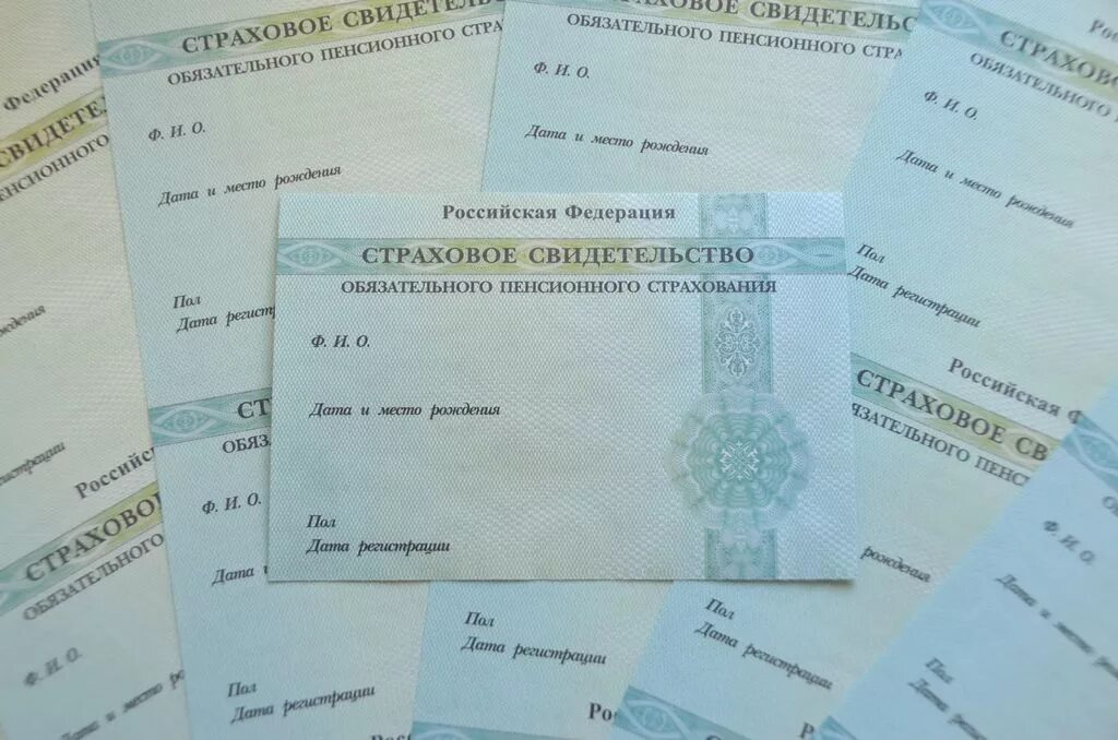 Где можно получить снилс на ребенка. Новый снилс. снилс новый образец. снилс бумажный. снилс нового образца.