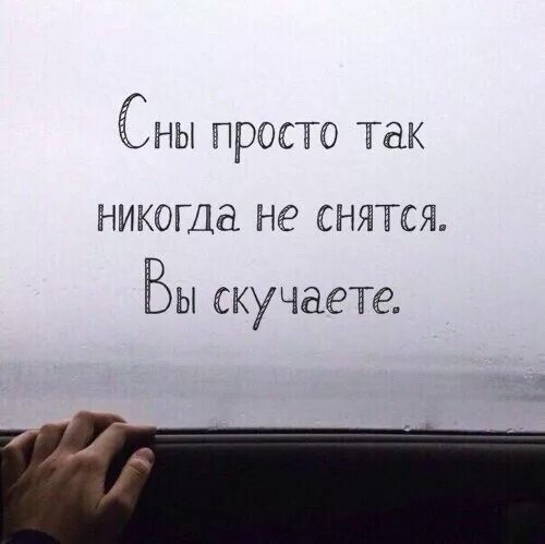 Снится ли то о чем думаешь