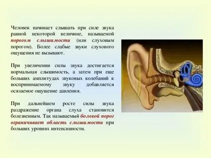 Ухо человека способно воспринимать как музыкальный тон