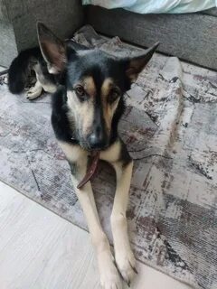 Помогла р