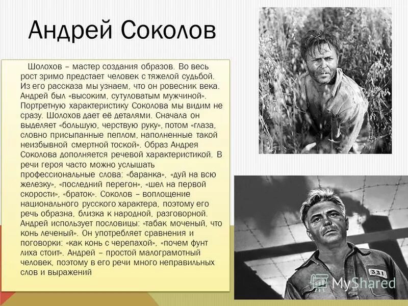 Судьба человека как звали детей. Шолохов судьба человека Соколов. Судьба Андрея Соколова сочинение.