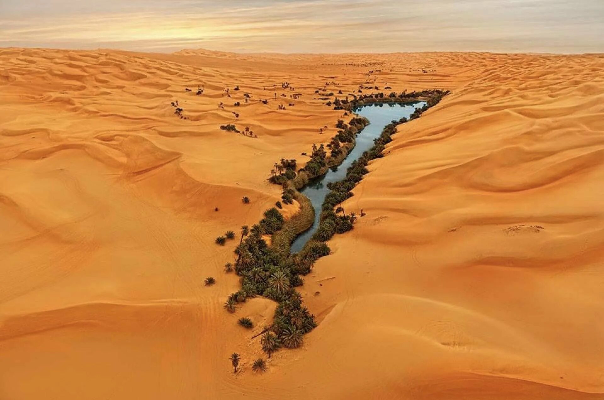 Самая крупная пустыня на земле. Оазис Убари Ливия. Оазис Убари в Ливии. Ливия пустыня сахара Оазис. Озера Убари Ливия.