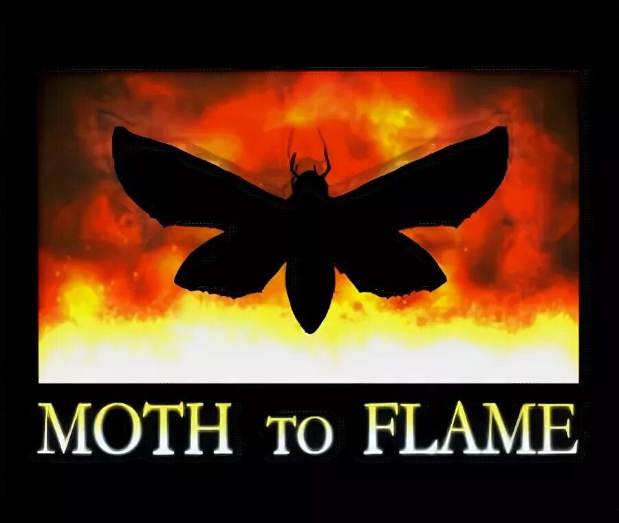 Moth to a flame перевод. Moth to a Flame. Moth to a Flame обложки. Moth to a Flame обои. Moth and the flame1938.