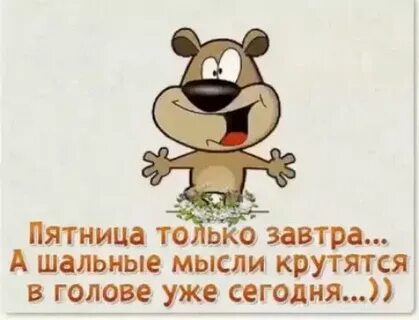 Одна мысль крутится в голове