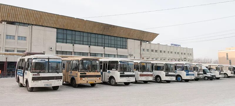 Автовокзал Омск. Омский автовокзал автобусы. Автовокзал Омск платформы. Автобус ПАЗ автовокзал Омск.