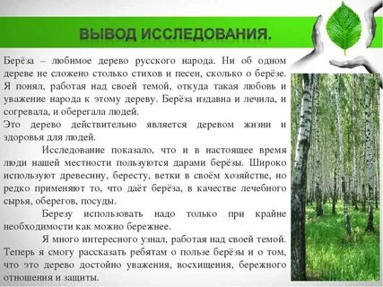 Дерево береза как пишется