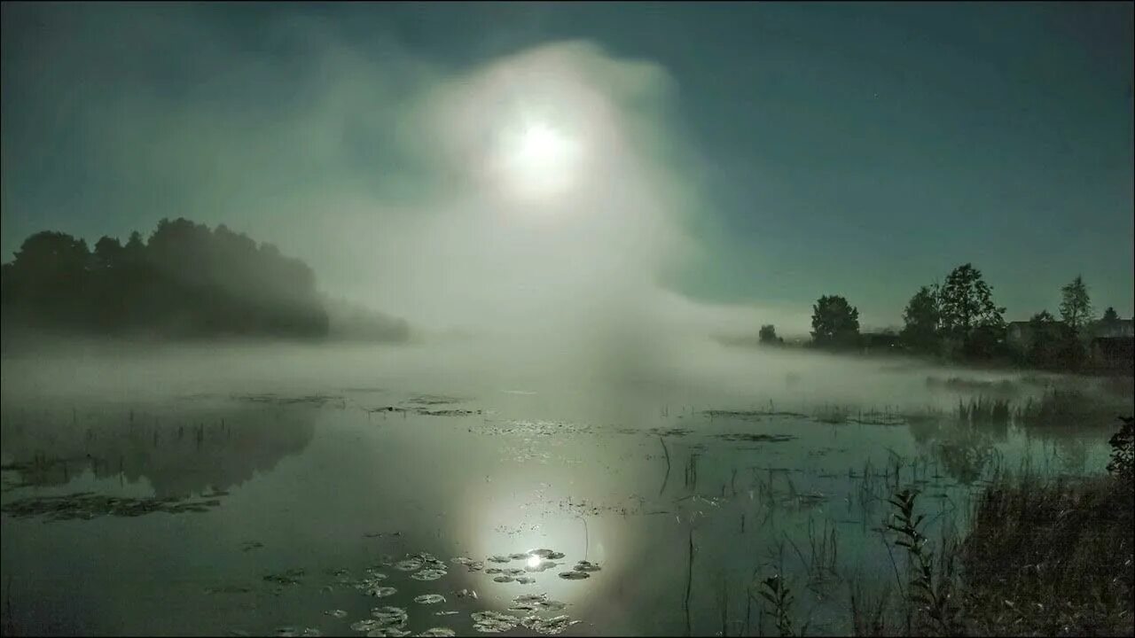 Мутная мгла