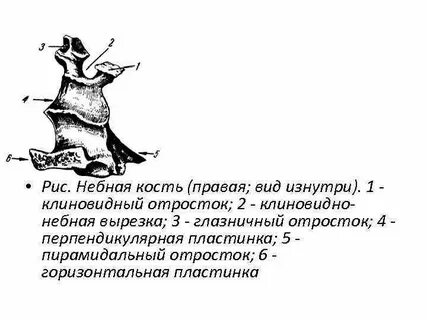 Горизонтальная пластинка