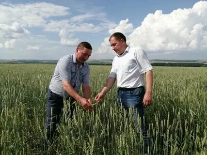 Фермерство в башне 75