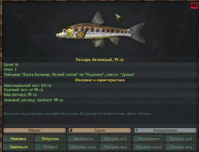 Озерный пескарь. Пескарь рыба. World of fisher таблица. World of fishers пескарь обыкновенный. Размер пескаря максимальный пескаря.