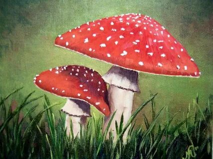 Рисунок мухомора