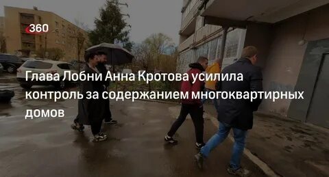 Кротова глава лобни