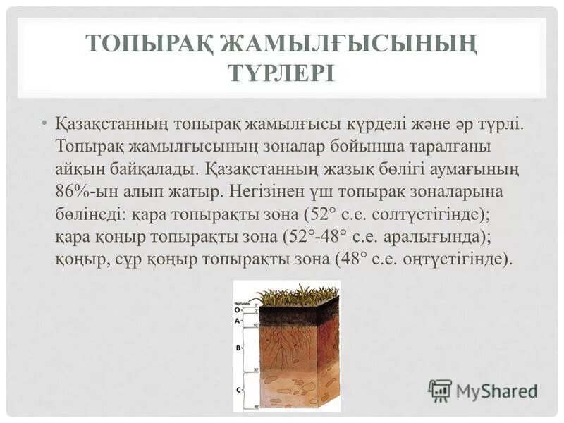 Жер топырақ. Терра роса. Жер топырақ. Жер топырақ. Жер топырақ.