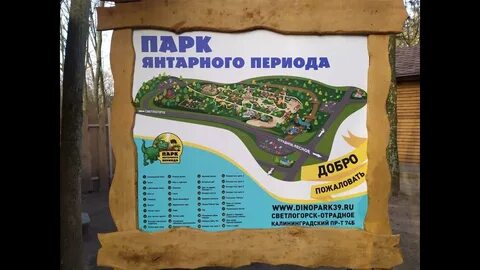 Парк янтарного периода калининградский