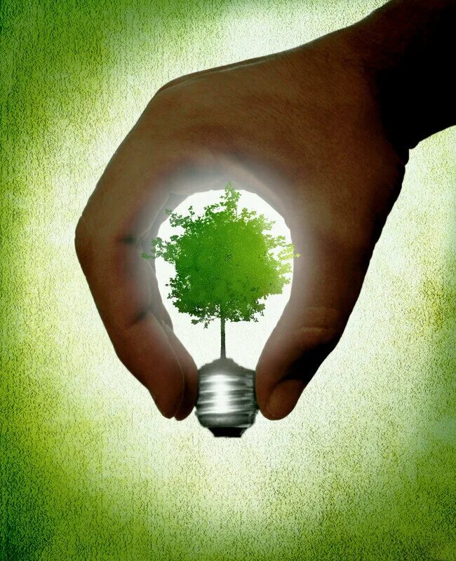Зеленая земля что делать. Экология. Зеленая экология. Дерево с лампочками. Дерево экология.