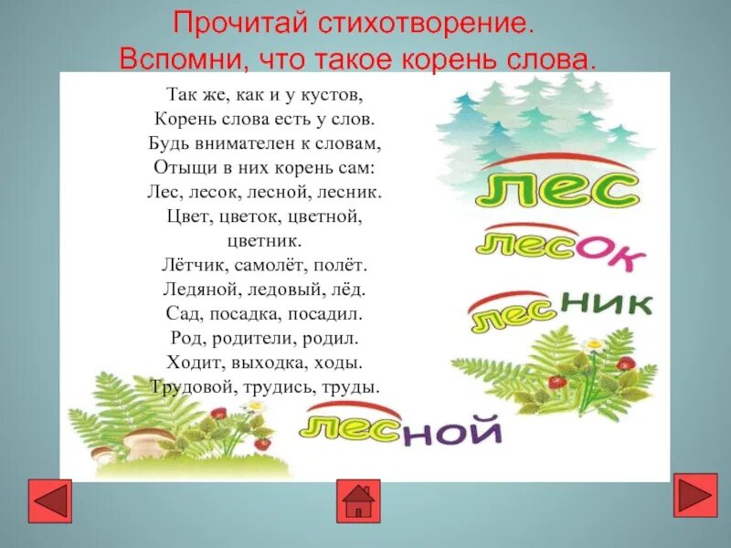 Слова с корнем лес. Так же как и у кустов корень слова есть у слов. Слова с корнем лед. Родственные слова лес.