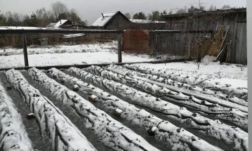 Погода хвойный амурская