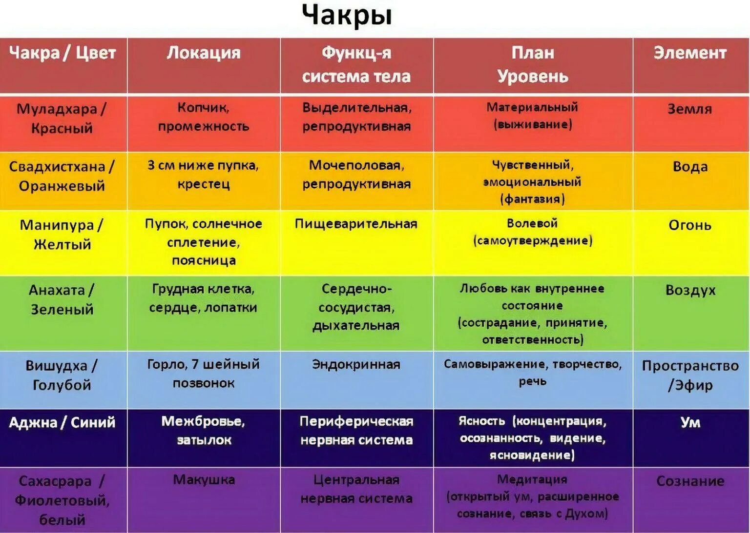 Какая чакра за какой орган отвечает