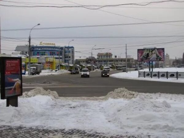 В Липецке появилась остановка с фотографиями: Яндекс.Новости