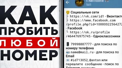 Как пробить номер и узнать владельца