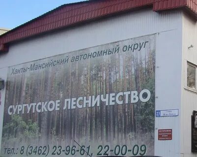 Сургутское лесничество