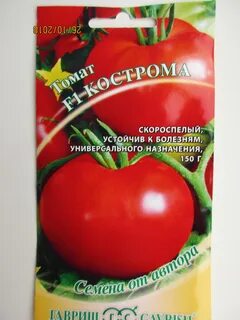 Кострома томат описание и фото отзывы характеристика