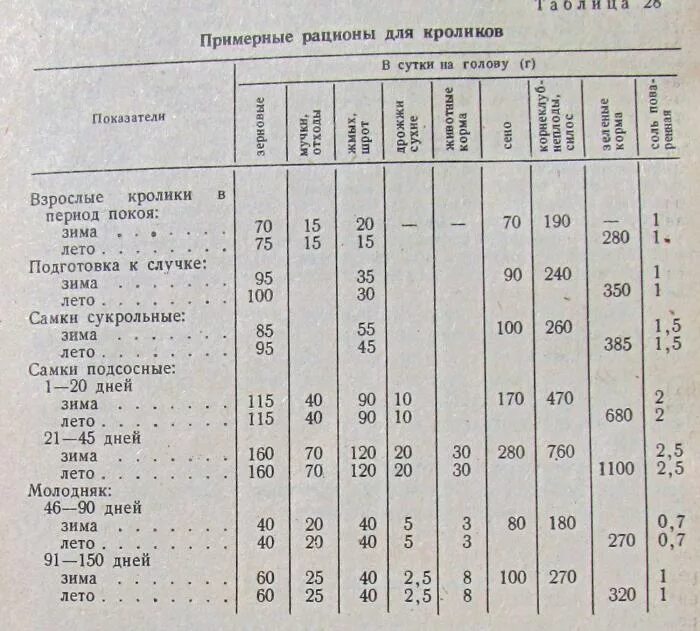 Сколько кормить кролика. Рацион кормления кроликов таблица. Суточный рацион кормов для кроликов. Суточный рацион кролика таблица. Нормы рациона кормления кролик корма.