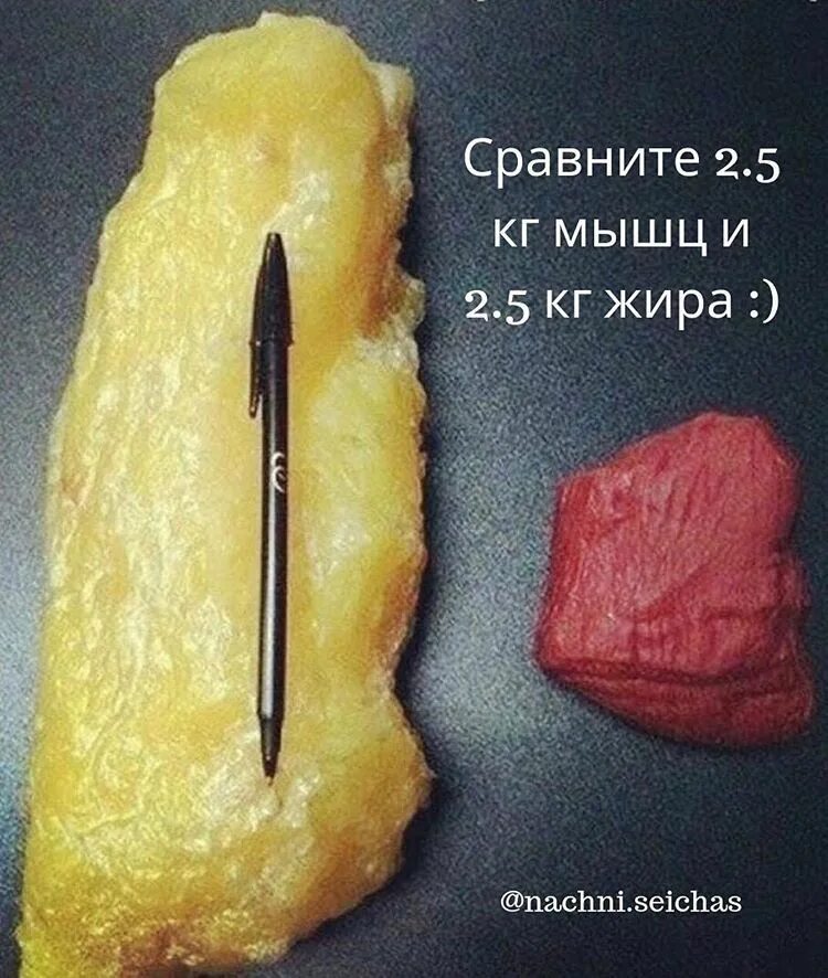 сколько граммов в двух блинах: 8 тыс изображений найдено в Яндекс.Картинках Чист