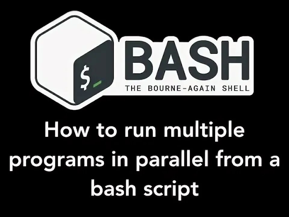 Bash xargs. Bash run. bash. bourne shell. run bash on uch.