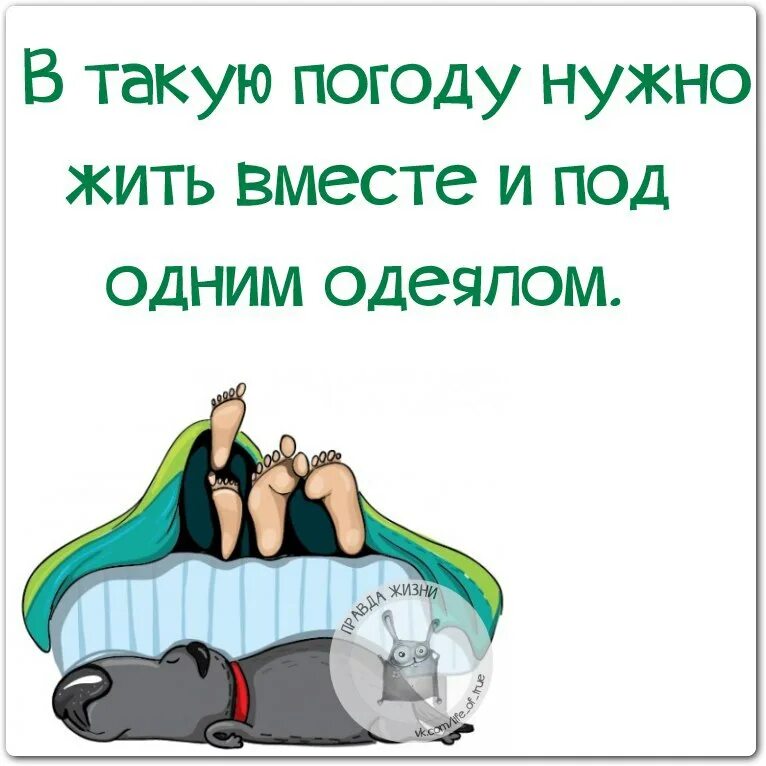 Снится жить вместе. В такую погоду только спать. В такую погоду. В такую погоду только. Спать в такую погоду.