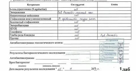 Мазок на онкоцитологию шейки матки. Врач цитолог. Палочки для мазка на коронавирус. Как берут мазок при беременности. Как берут мазок при беременности.