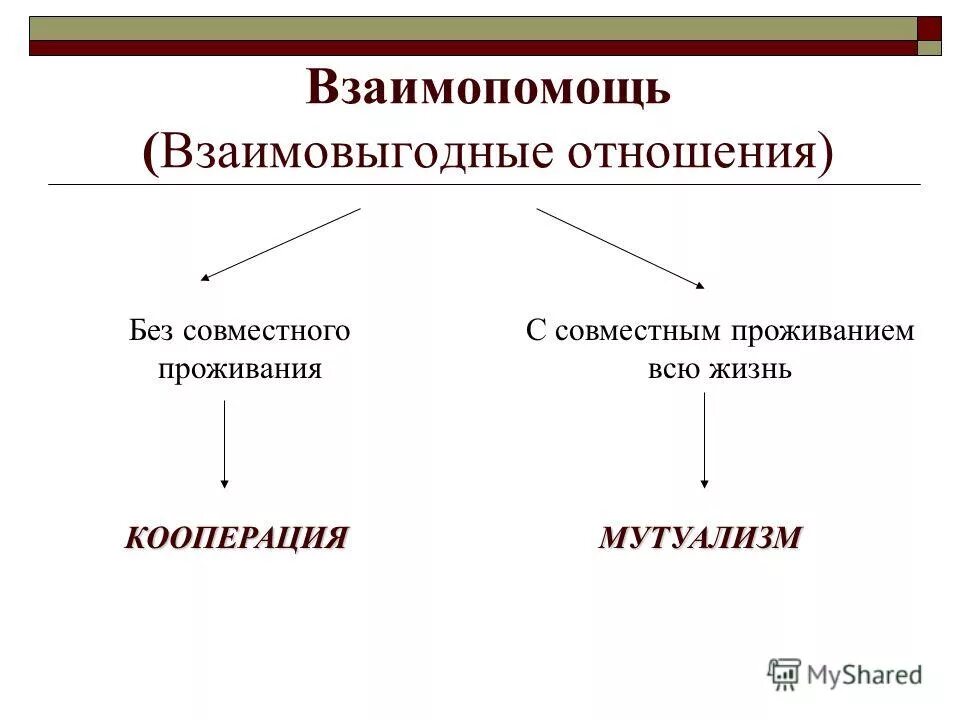 Виды взаимо. Взаимо выгодные отношения. Взаимовыгодные отношения характеристика. Классификация взаимовыгодных отношений. Примеры взаимо отношений.