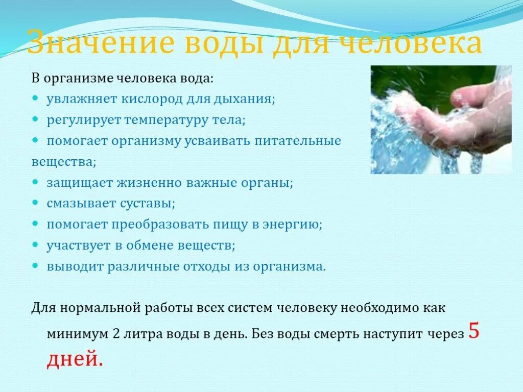 Какое значение имеет вода для нашей планеты. Значение воды в организме человека. вода в жизни человека. значение воды. значение воды в жизни человека.