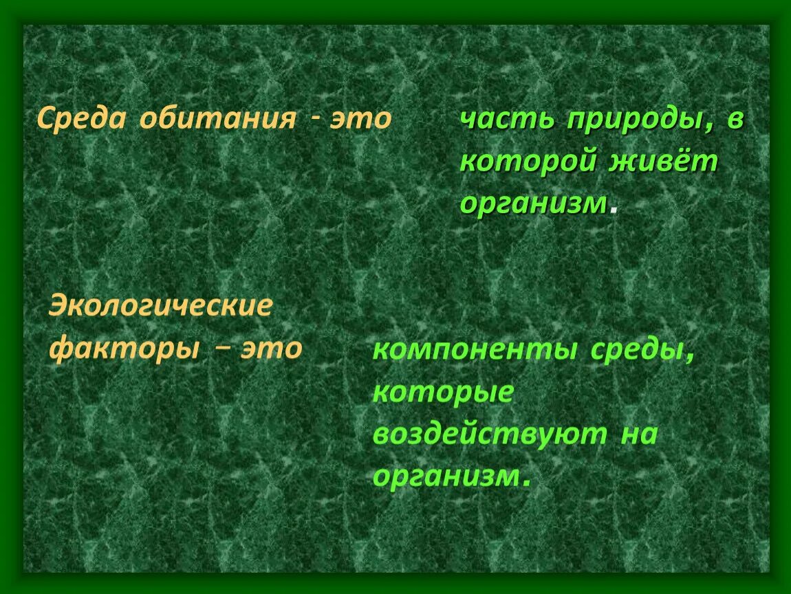 Экология среды жизни и экологические факторы. Среда обитания. Среда обитания и факторы среды. Экологические среды обитания. Факторы среды обитания организмов.