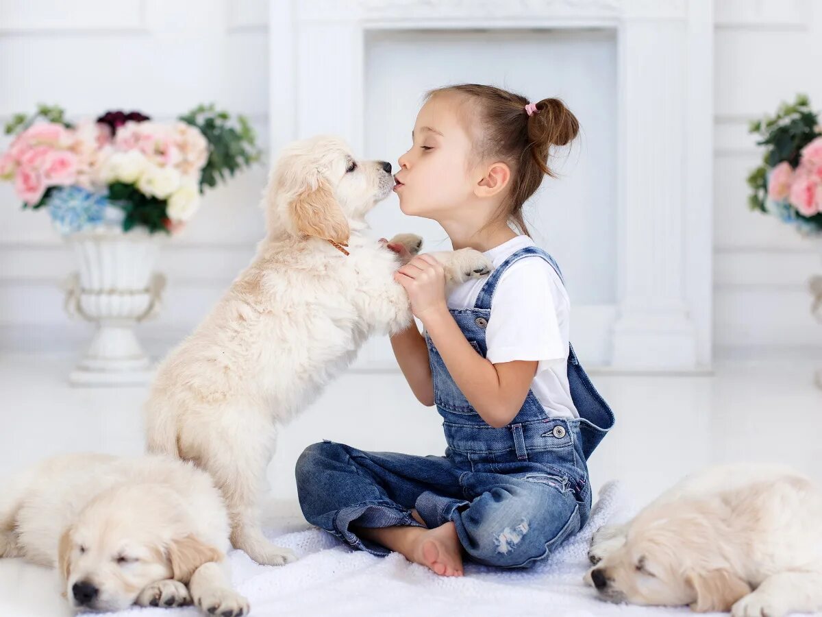 Немецкая овчарка сlдетьми. Популярные собаки девочки. Золотистый ретривер щенок девочка. Популярные собаки девочки. Померанский шпиц джифф.