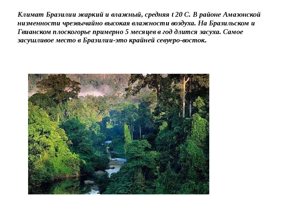 Природные особенности бразилии кратко. Климат Бразилии 7 класс география. Климат Бразилии таблица. Бразилия слайд климат. Климат Бразилии презентация.
