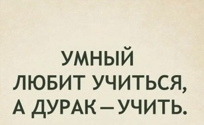 Дурак учит а умный учится. Умный любит учиться а дурак учиться. Умный любит учиться а дурак учить Автор. Дурак учит умного. Дурак любит учить