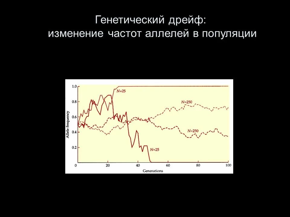 Случайные изменения частот аллелей популяций. Генетический дрейф книга. Изменение частот аллелей в популяции в ряду. Модель дрейфа генов график.