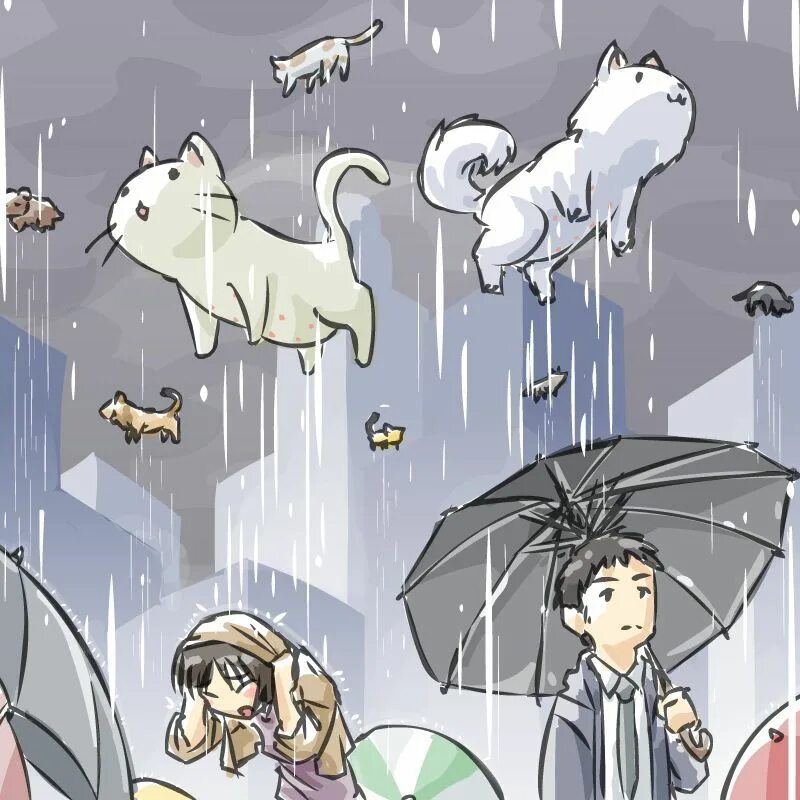 Дожди кэт. Идиома it's raining Cats and Dogs. Rain Cats and Dogs идиомы. Дождь из животных. Дождь из кошек и собак.