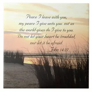 John 14