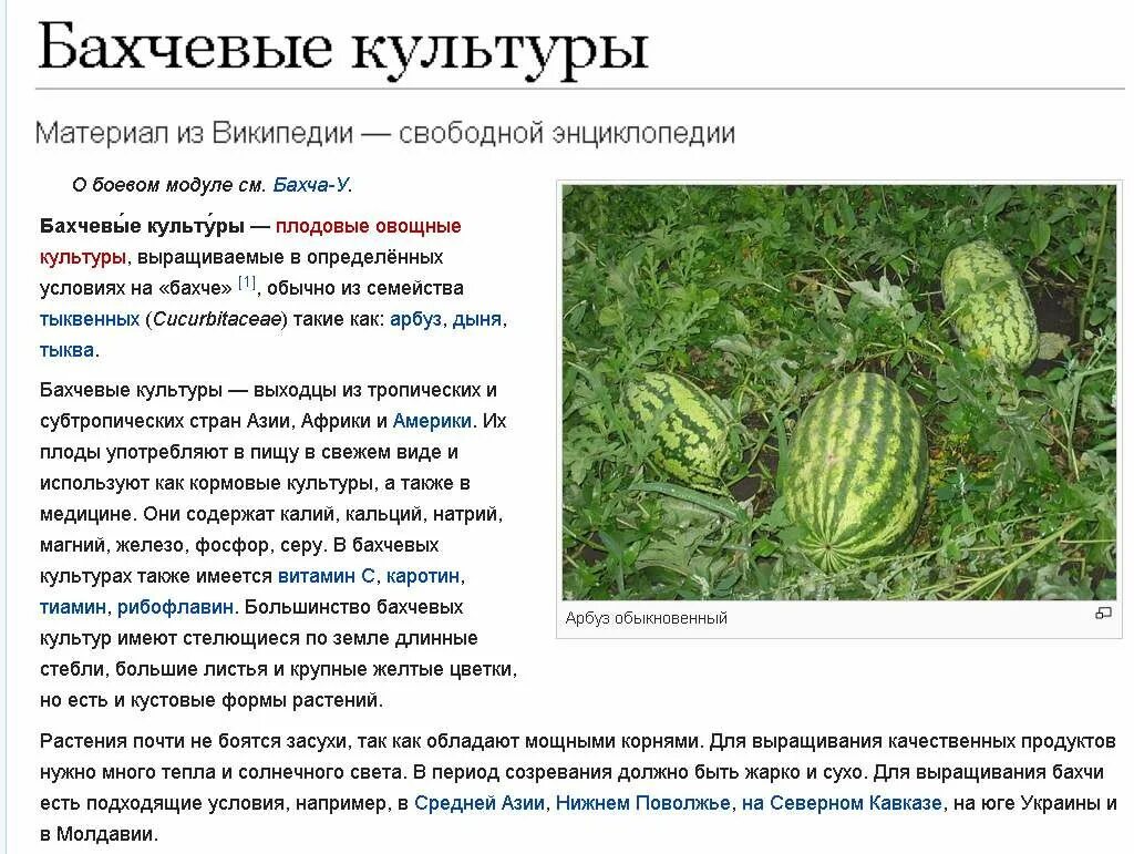 Бахчевые культуры почва