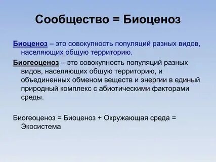 Сообщество понятие и определение