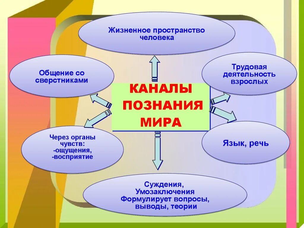 Познание 6 класс. Жизненное пространство человека. Каналы познания человека.