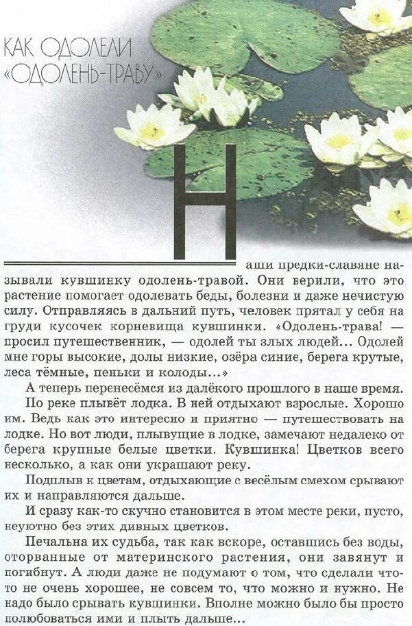 книжка великан на поляне. одолень-трава легенда о растении 2 класс. легенду про адалин трава растение. великан на поляне кукушкины одолень трава. кувшинка одолень трава.