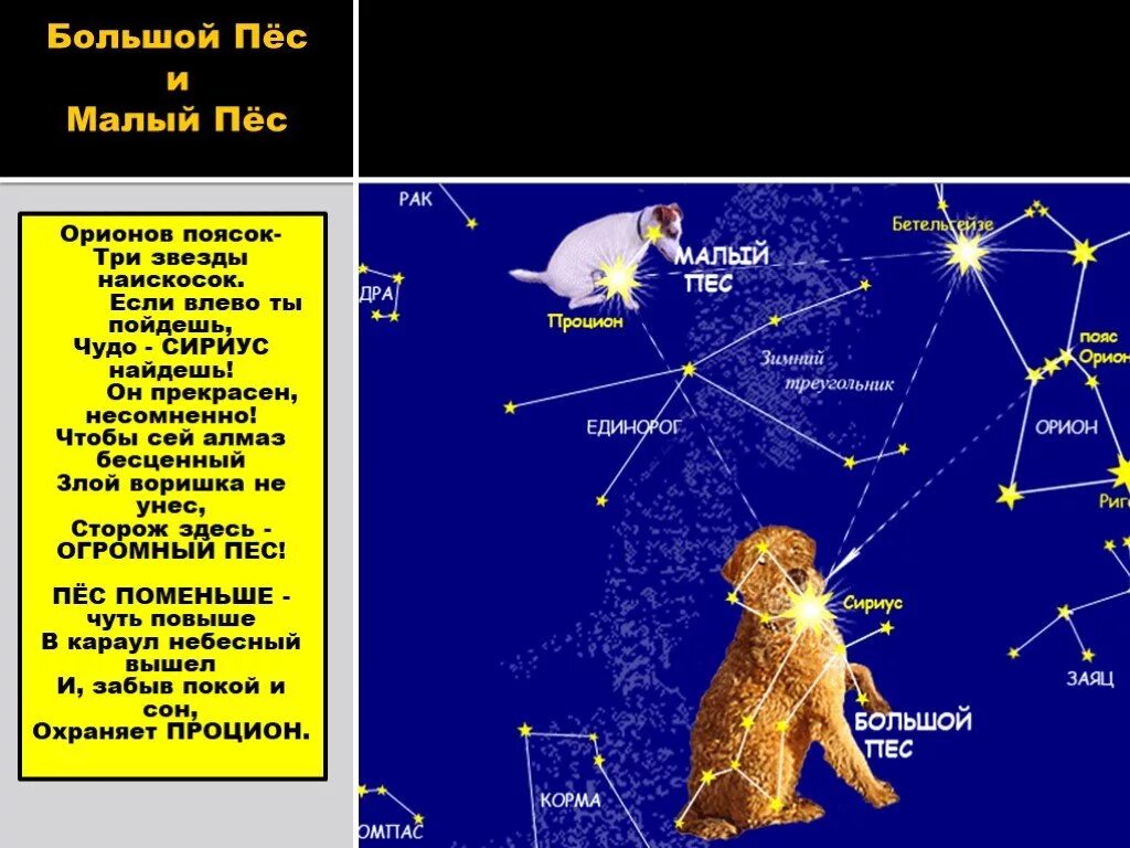 Презентация звездное небо весной 2 класс. Созвездие Орион большой пес и малый пес. Созвездия весеннего неба малый пес. Созвездие большого пса. Созвездие большого пса фото.