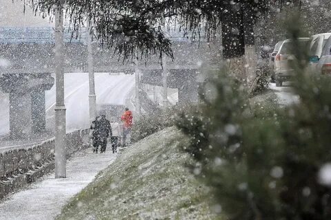 Песня пройдут дожди пройдут снега
