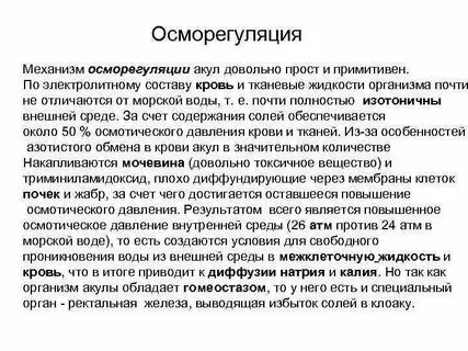 Осморегуляция