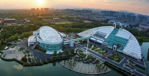 Zhejiang university