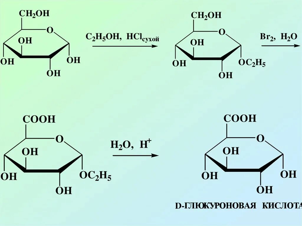 Реакция поликонденсации глюкозы. Шестиуглеродный моносахарид. Полимеризация моносахаридов. Поликонденсация моносахаридов. Кислоты моносахаридов.